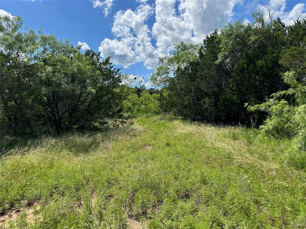 BEATY SEALE & FORWOOD - Land