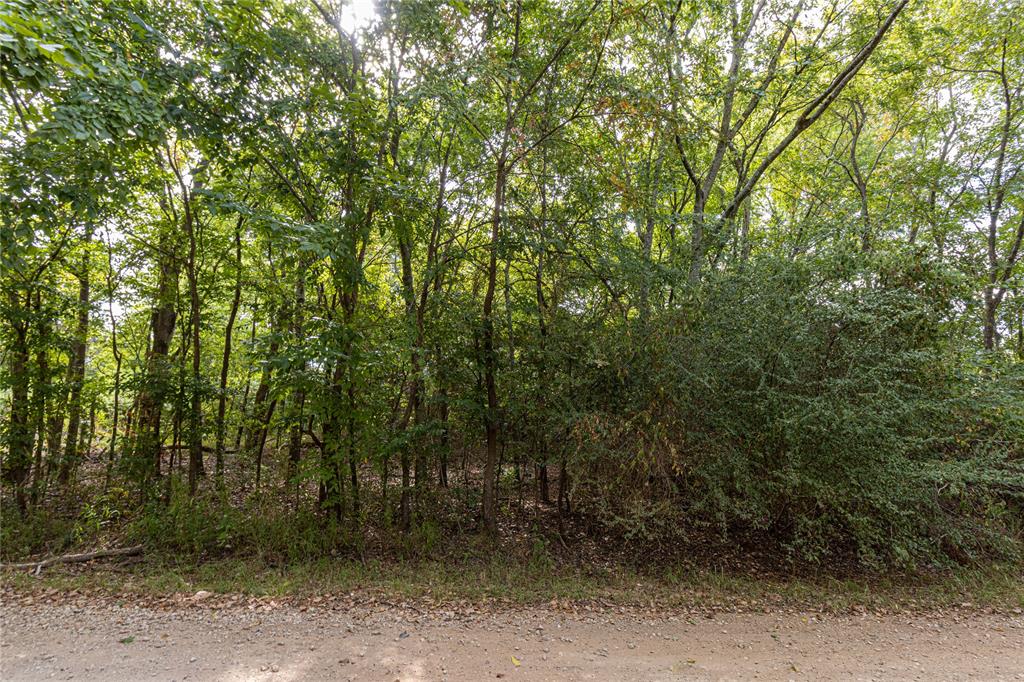 185 Hackberry