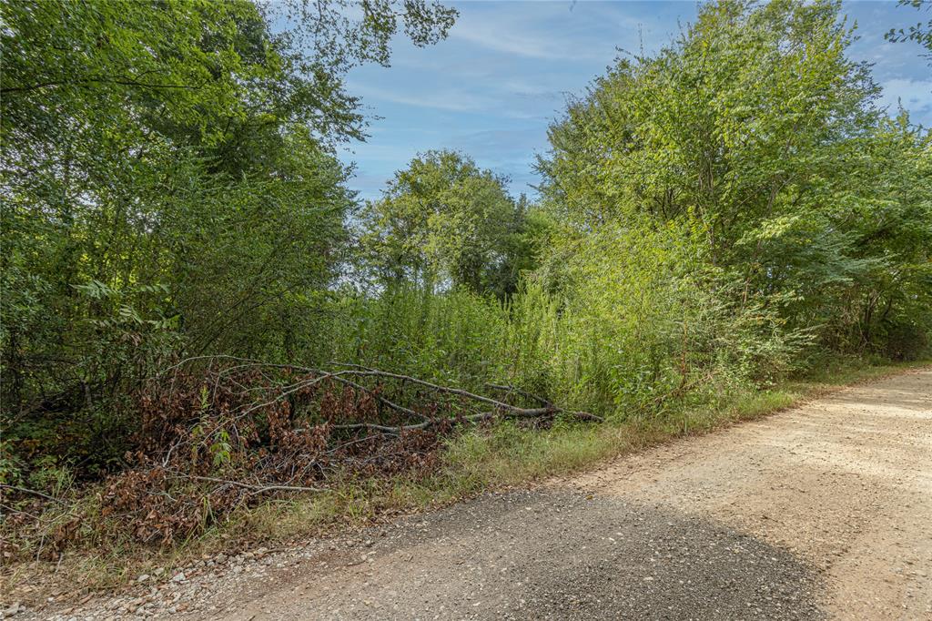 185 Hackberry