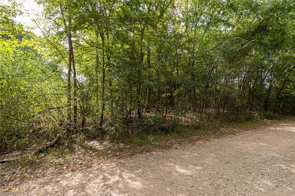 185 Hackberry