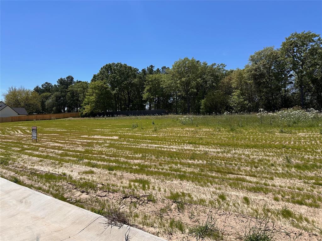 Lindsey Ridge - Land