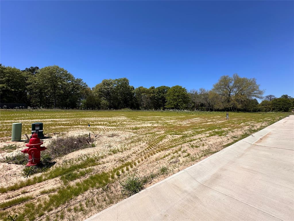 Lindsey Ridge - Land