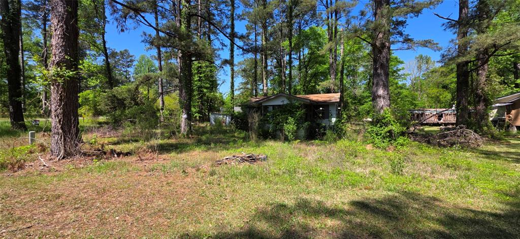 Doyline, Louisiana 71023, United States, ,Land,Active,118033