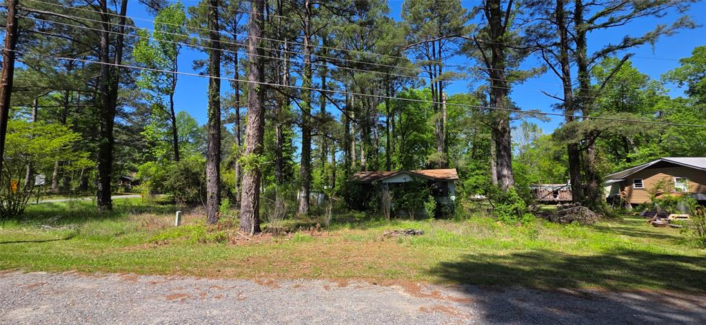 Doyline, Louisiana 71023, United States, ,Land,Active,118033