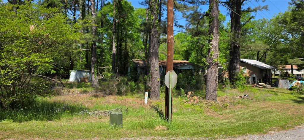 Doyline, Louisiana 71023, United States, ,Land,Active,118033