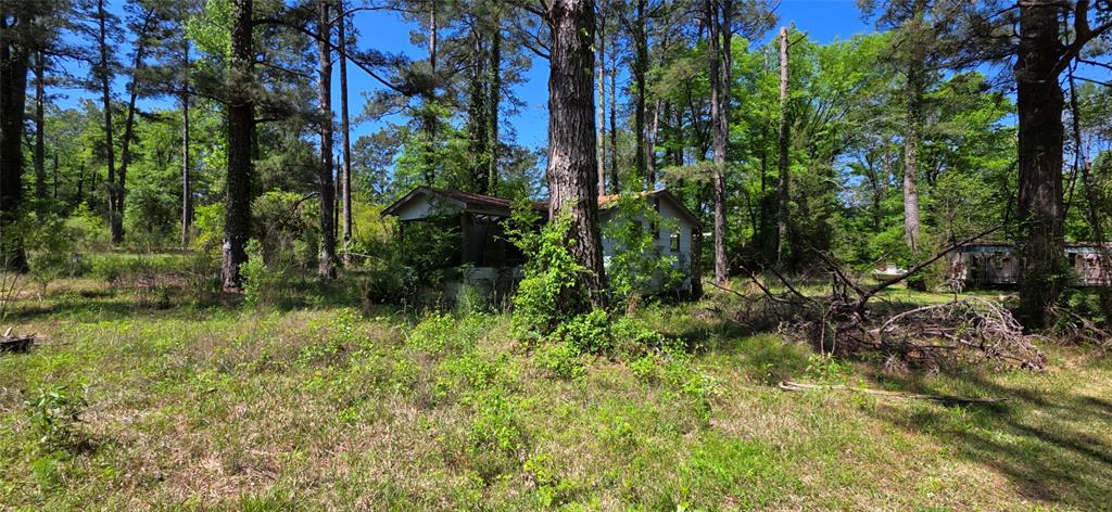 Doyline, Louisiana 71023, United States, ,Land,Active,118033