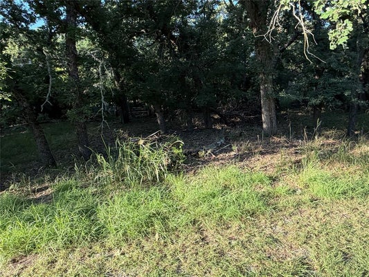 TIMBERDELL DR, MAY, TX 76857 - Image 1f45fbf2b1976bd7d000cef8caff80eb/1441066752
