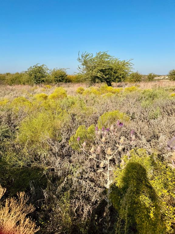 Cougar Mountain Estates Ph 1 - Land