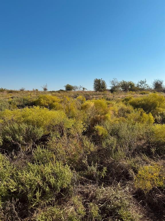 Cougar Mountain Estates Ph 1 - Land