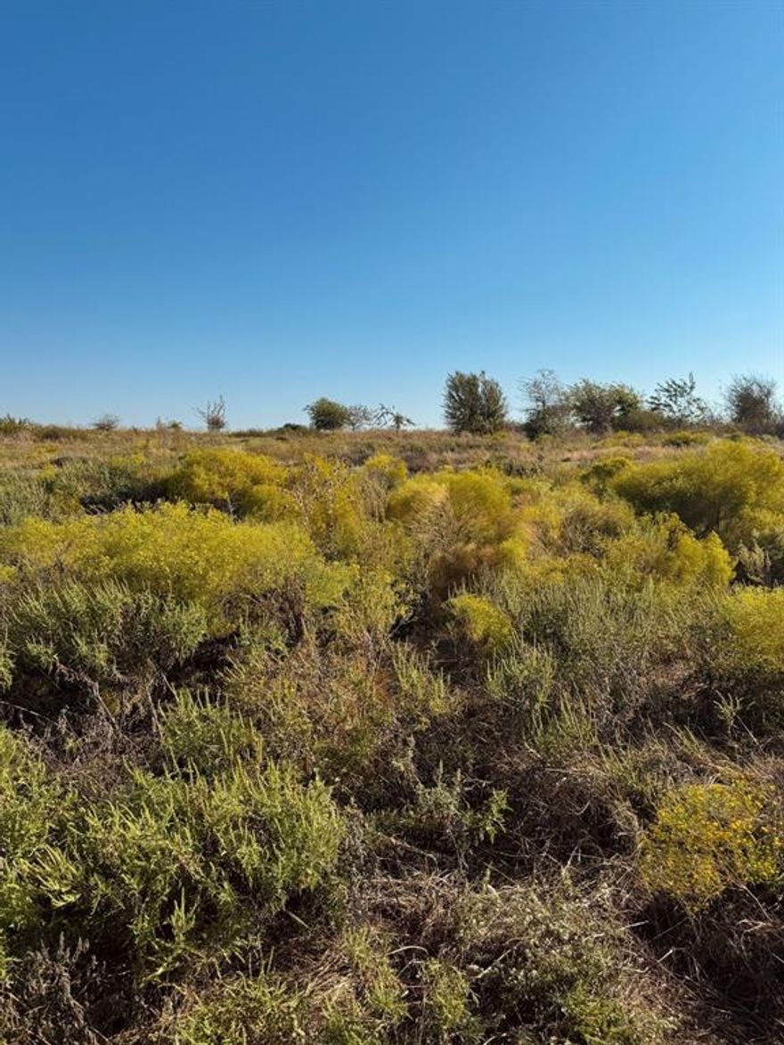 1.89 Acres Atop Cougar Mountain Estates

Among the highest elevations in Hood County, this lot offers breathtaking sunset views from your backyard and sunrise views from the front porch of your dream home build. A 1,500 SQFT minimum for the main dwelling secures your community's property values and no timeline requirement ensures you can build at your own pace. Underground electric and 1G fiber internet available. Well, septic, and propane required. 

Residents enjoy exclusive access to the 6-acre Private Lake Club on Lake Granbury, 15 minutes from Cougar Mountain Estates featuring a furnished clubhouse with tons of games for the family, pickleball courts, picnic areas with tables and grills available, a fire pit and a fishing pier.

Elevated living, priced to move. Ready for your new home construction today.