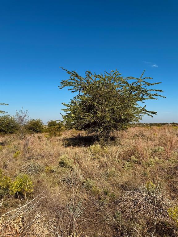 Cougar Mountain Estates Ph 1 - Land