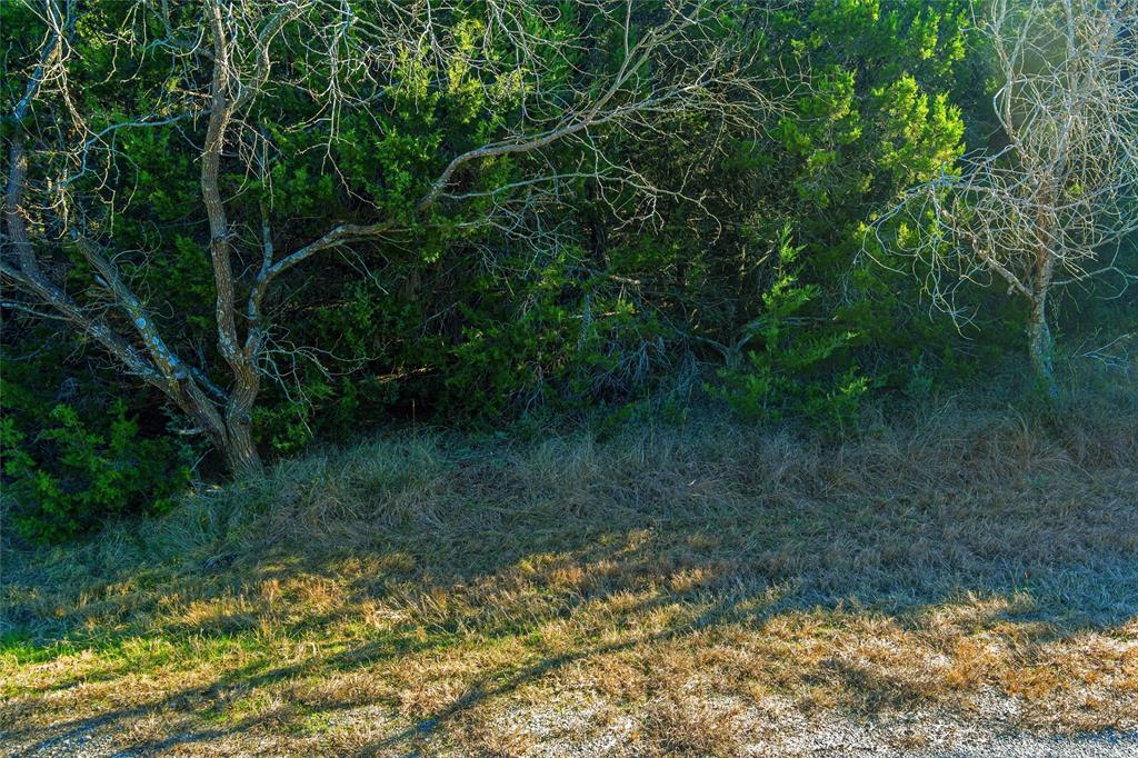 White Bluff #18 - Land