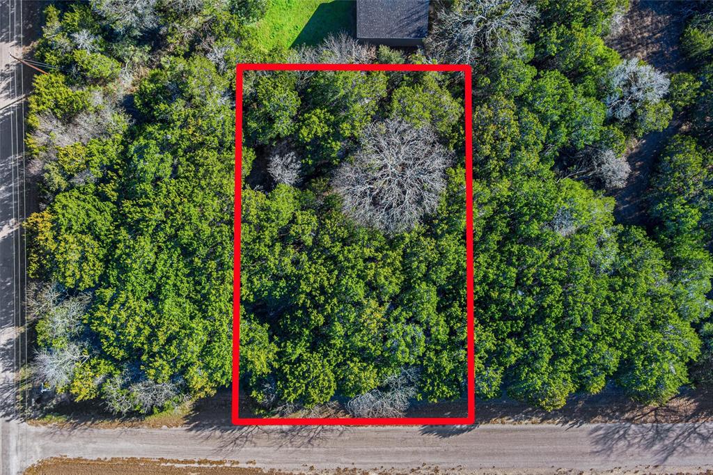 White Bluff #18 - Land