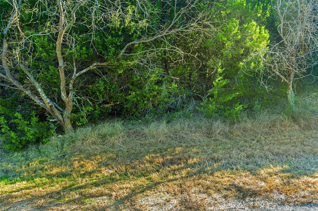 White Bluff #18 - Land