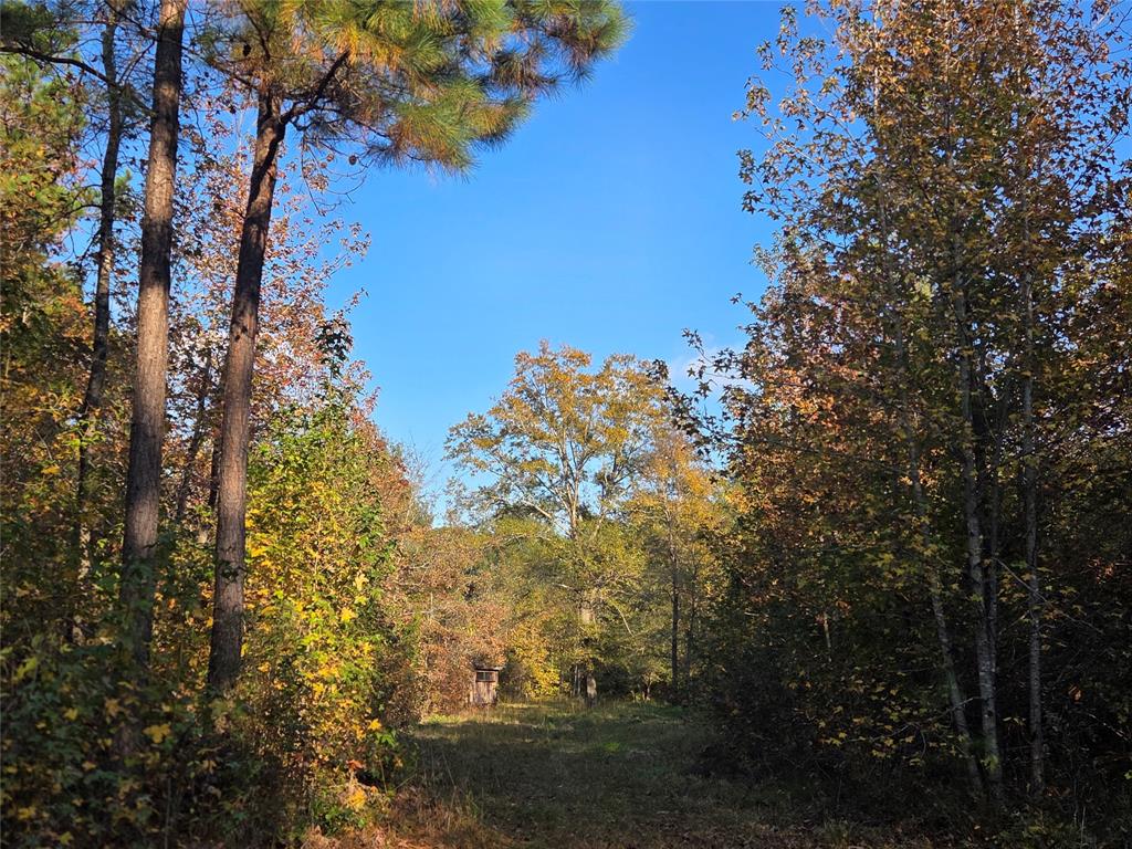 Joshua Bowerman Hr Surv Abs #5 - Land