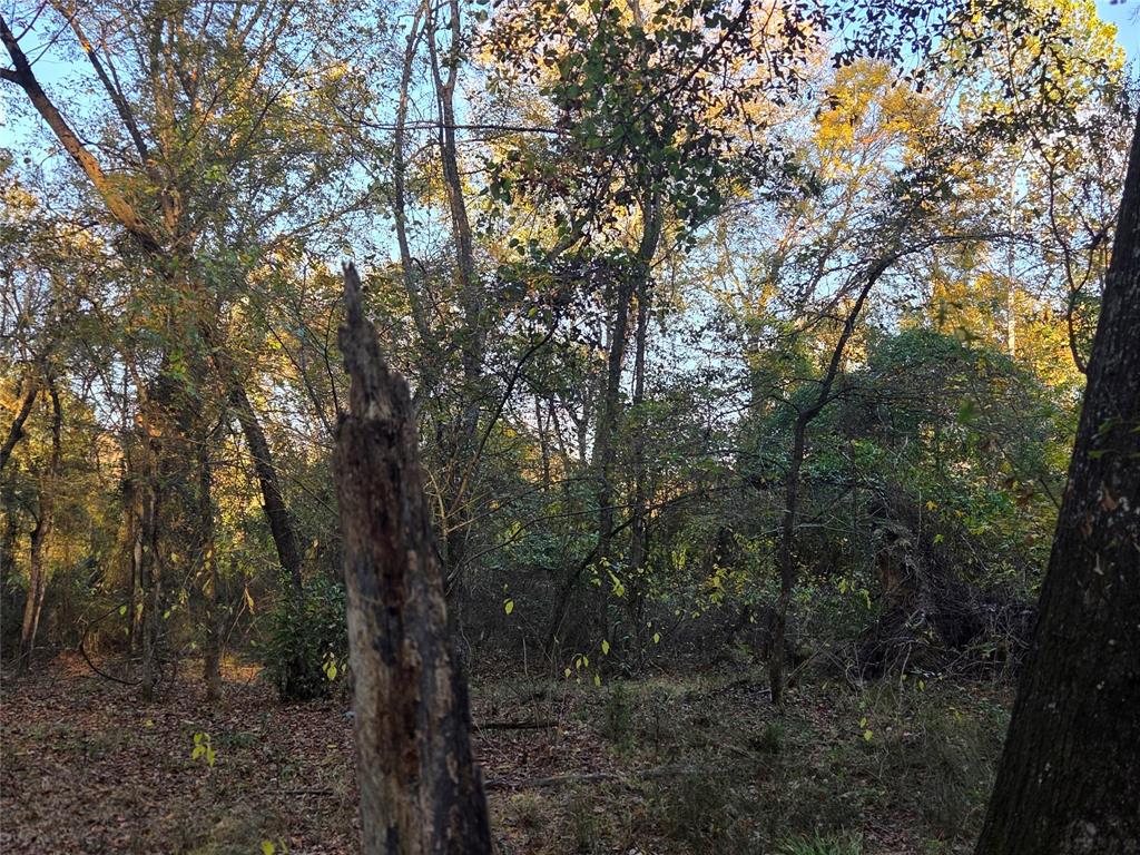 Joshua Bowerman Hr Surv Abs #5 - Land