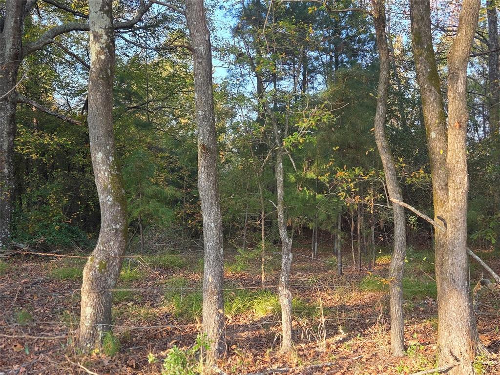 Joshua Bowerman Hr Surv Abs #5 - Land