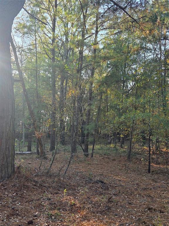 Joshua Bowerman Hr Surv Abs #5 - Land