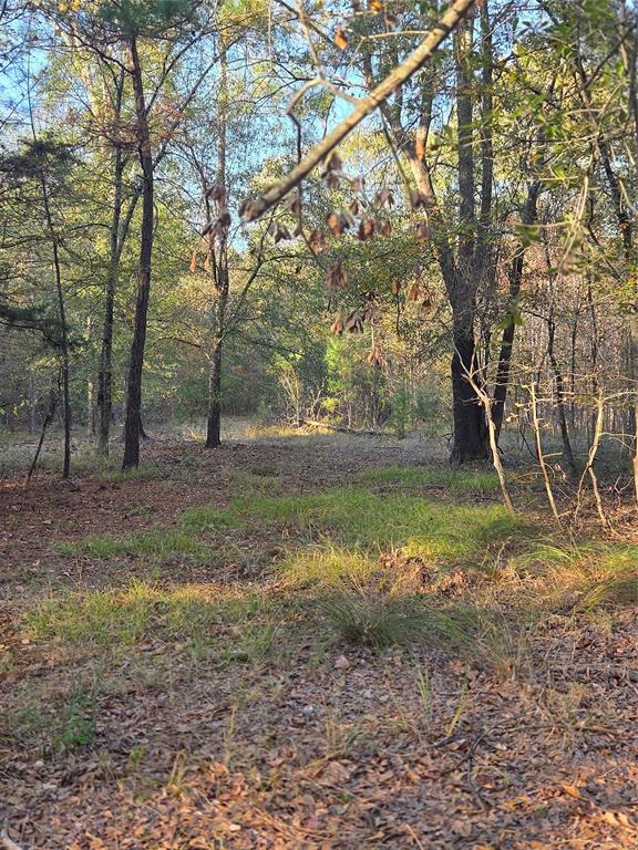 Joshua Bowerman Hr Surv Abs #5 - Land