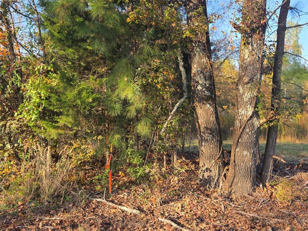 Joshua Bowerman Hr Surv Abs #5 - Land