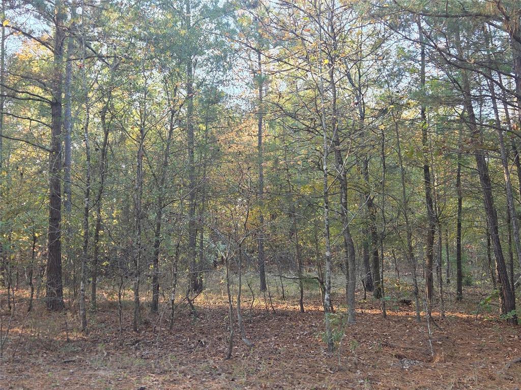 Joshua Bowerman Hr Surv Abs #5 - Land