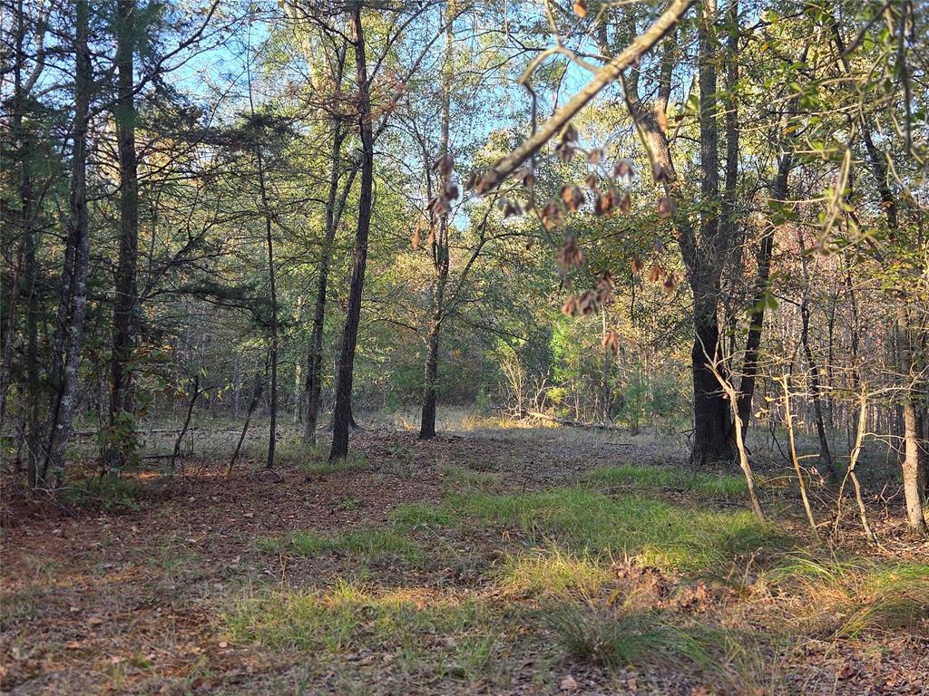 Joshua Bowerman Hr Surv Abs #5 - Land