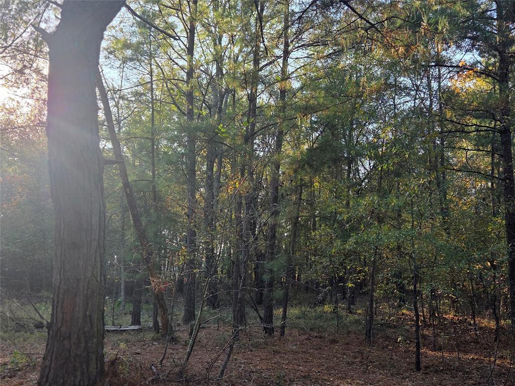 Joshua Bowerman Hr Surv Abs #5 - Land