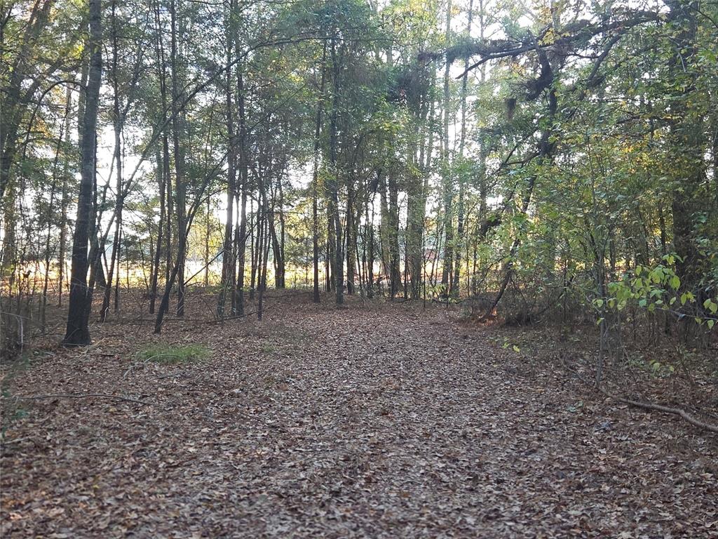 Joshua Bowerman Hr Surv Abs #5 - Land