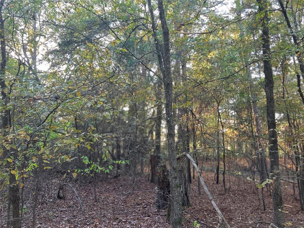 Joshua Bowerman Hr Surv Abs #5 - Land