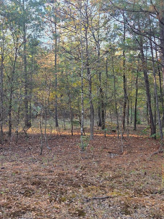 Joshua Bowerman Hr Surv Abs #5 - Land