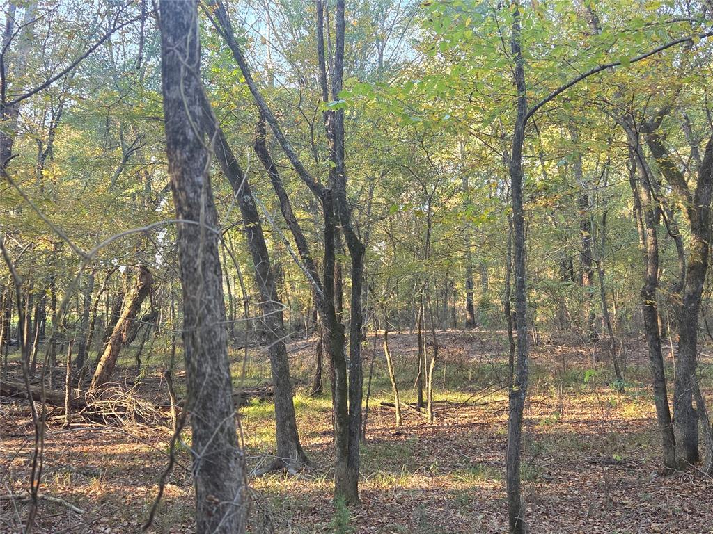 Joshua Bowerman Hr Surv Abs #5 - Land