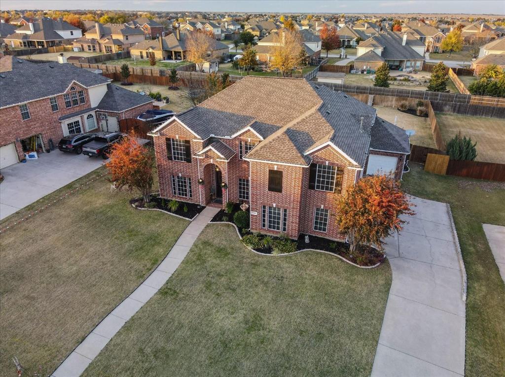 1616 Bassett Hound Drive