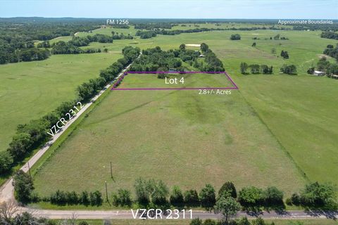 Photo of TBD Lot 4 VZ COUNTY ROAD 2311, Mabank, TX 75147 (MLS # 21092156)
