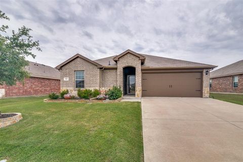 Photo of 732 Meadow Creek Lane, Josephine, TX 75189 (MLS # 21263269)