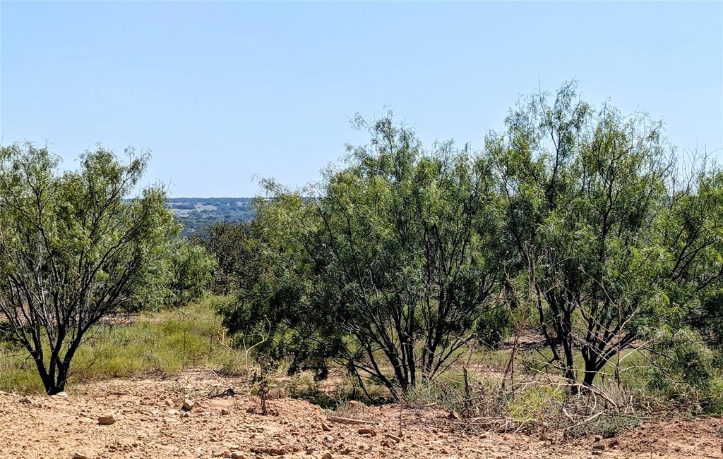 Capstone Ridge on the Brazos - Residential