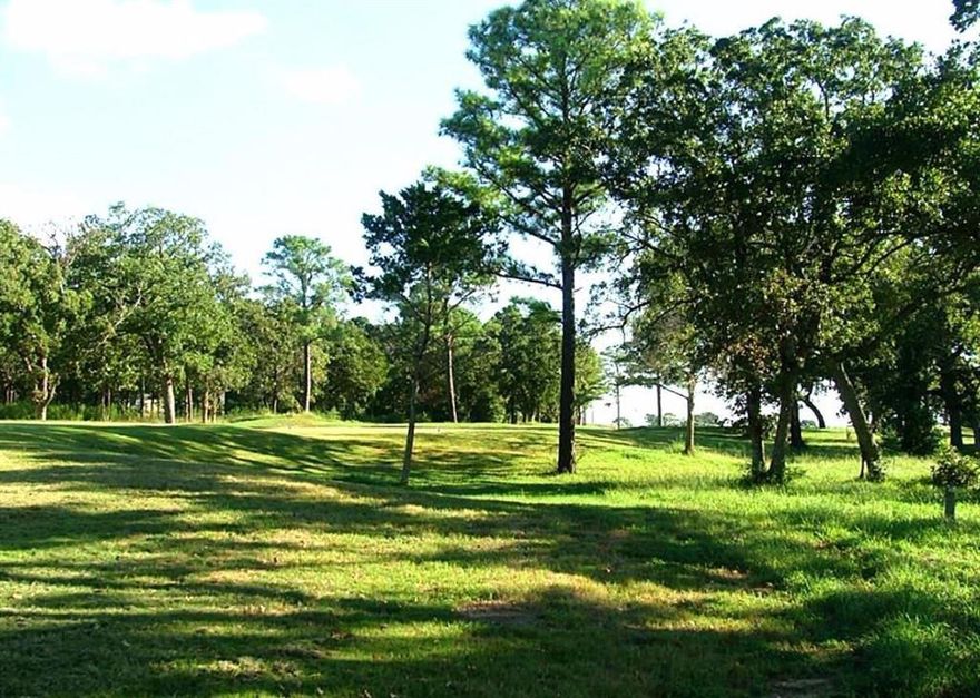 Don't miss this Great opportunity.. Located in the Fastest growing County in the Nation.. Property adjoining an upcoming Master planned development. Amazing parcel for Multi Family, Retail or single family development. Endless opportunities awaits.