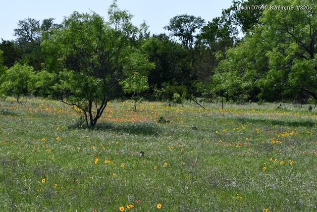 Dickson,William acres - Land