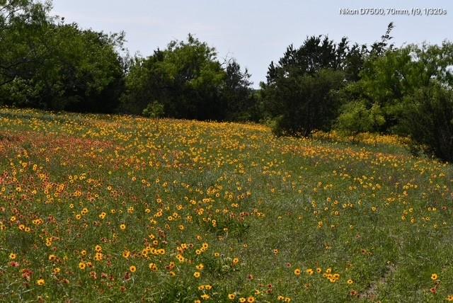 Dickson,William acres - Land