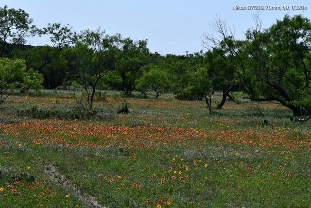 Dickson,William acres - Land