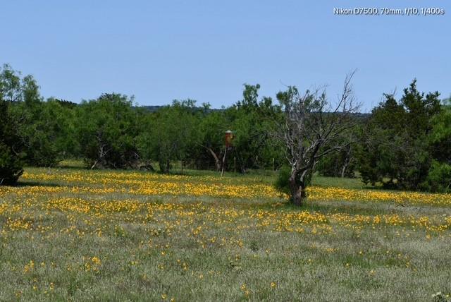 Dickson,William acres - Land