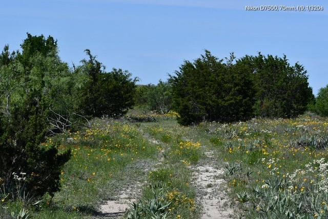 Dickson,William acres - Land