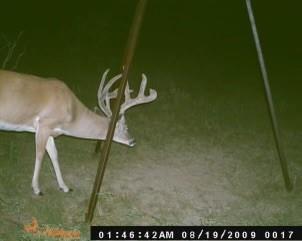 Dickson,William acres - Land