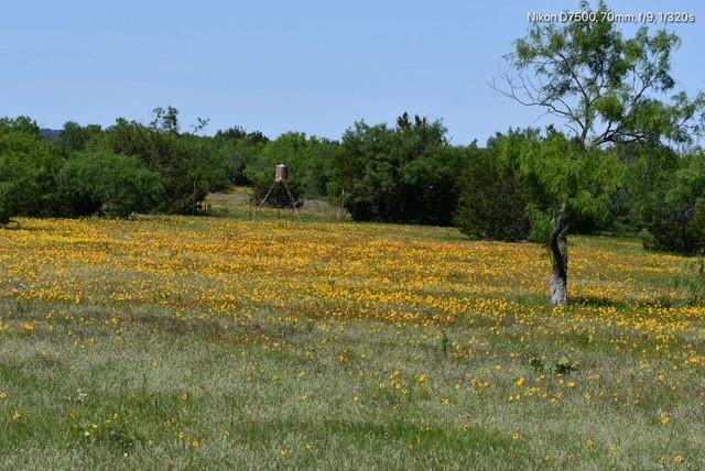 Dickson,William acres - Land