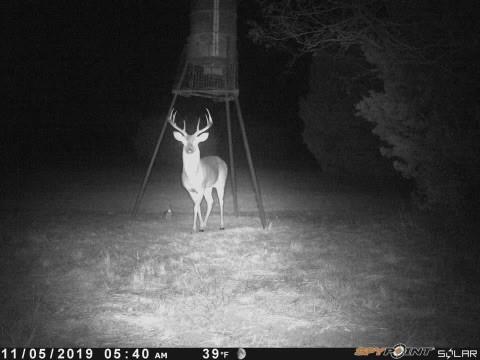 Dickson,William acres - Land