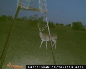 Dickson,William acres - Land