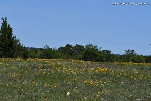 Dickson,William acres - Land