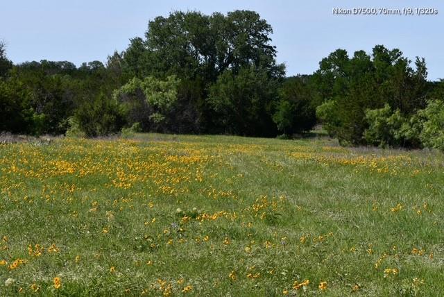 Dickson,William acres - Land