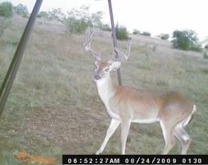 Dickson,William acres - Land