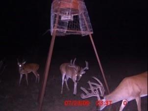 Dickson,William acres - Land