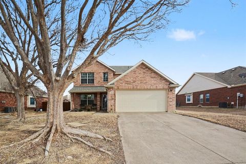 1302 Lake Trail Court Wylie TX 75098